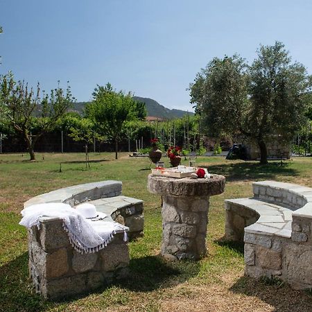 Villa Tsitreli ซีเกีย ภายนอก รูปภาพ