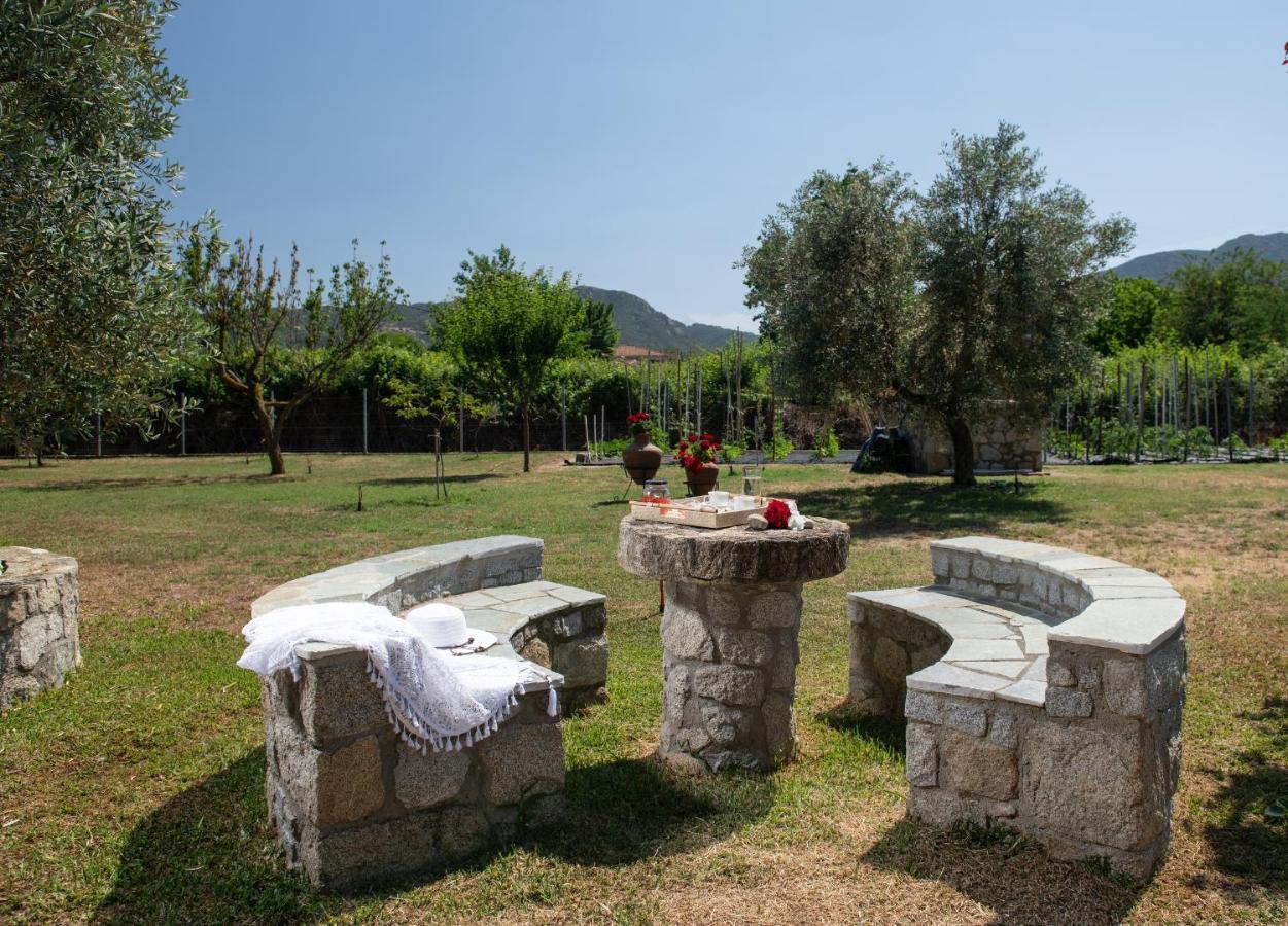 Villa Tsitreli ซีเกีย ภายนอก รูปภาพ