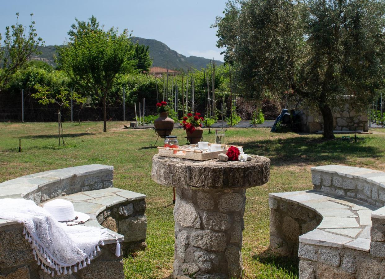 Villa Tsitreli ซีเกีย ภายนอก รูปภาพ