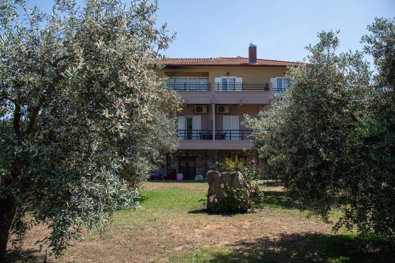 Villa Tsitreli ซีเกีย ภายนอก รูปภาพ