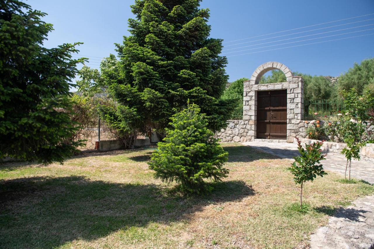 Villa Tsitreli ซีเกีย ภายนอก รูปภาพ
