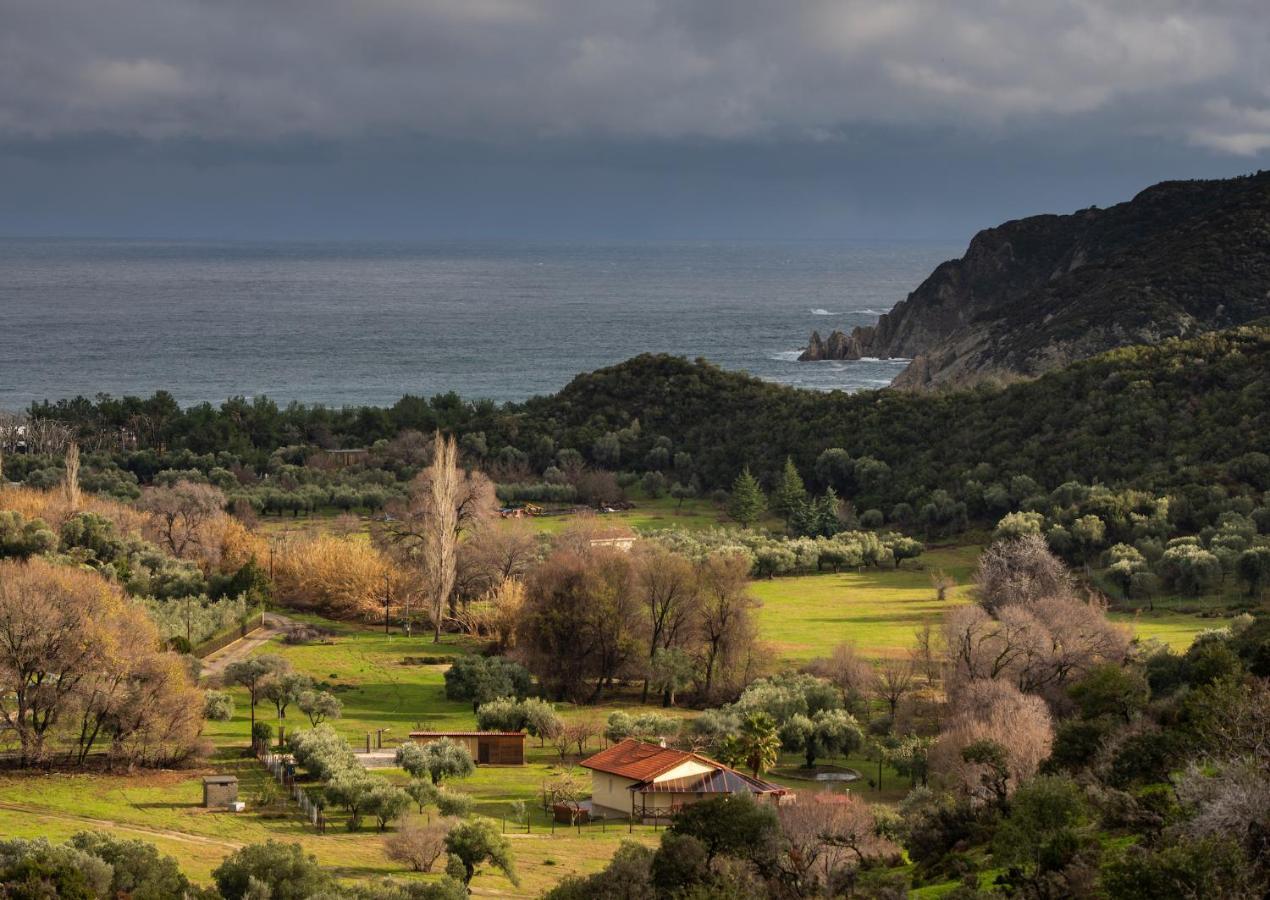 Villa Tsitreli ซีเกีย ภายนอก รูปภาพ