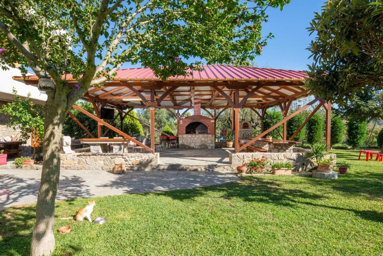 Villa Tsitreli ซีเกีย ภายนอก รูปภาพ