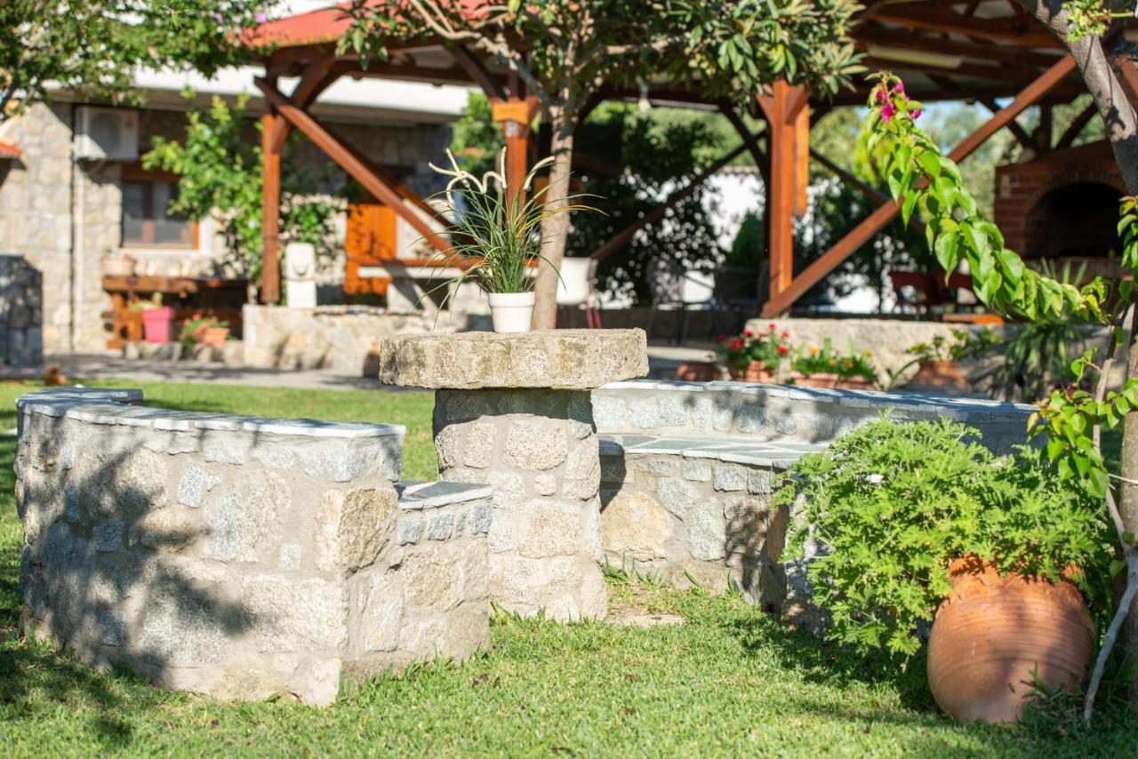 Villa Tsitreli ซีเกีย ภายนอก รูปภาพ